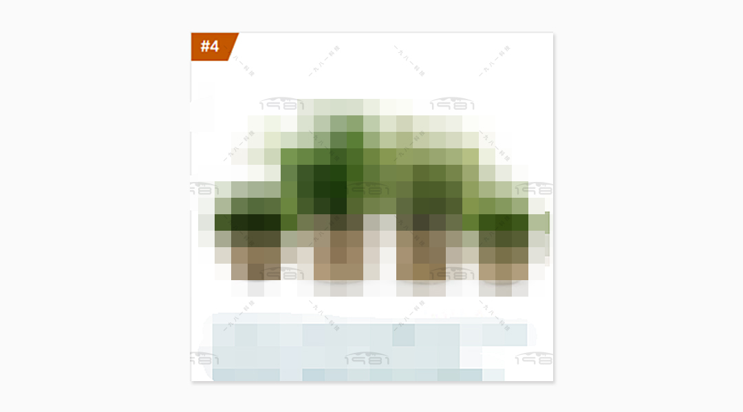 美國站仿真植物類小類top4.jpg